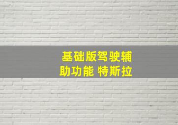 基础版驾驶辅助功能 特斯拉